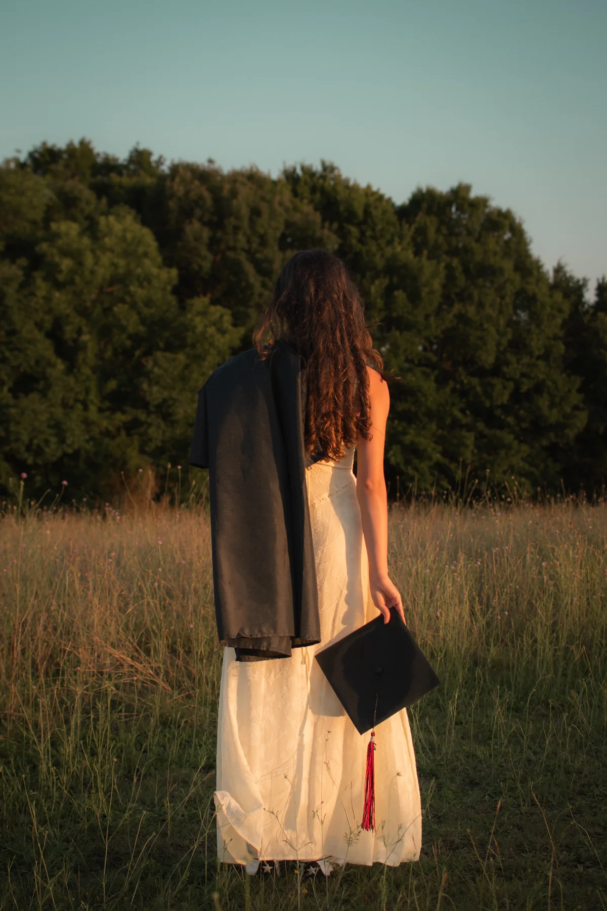 Graduate seen from behind at the edge of a sunlit field